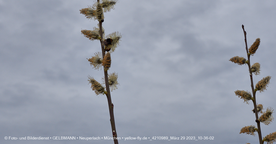 29.03.2023 - Baustelle REVO und Umgebung in Neuperlach
